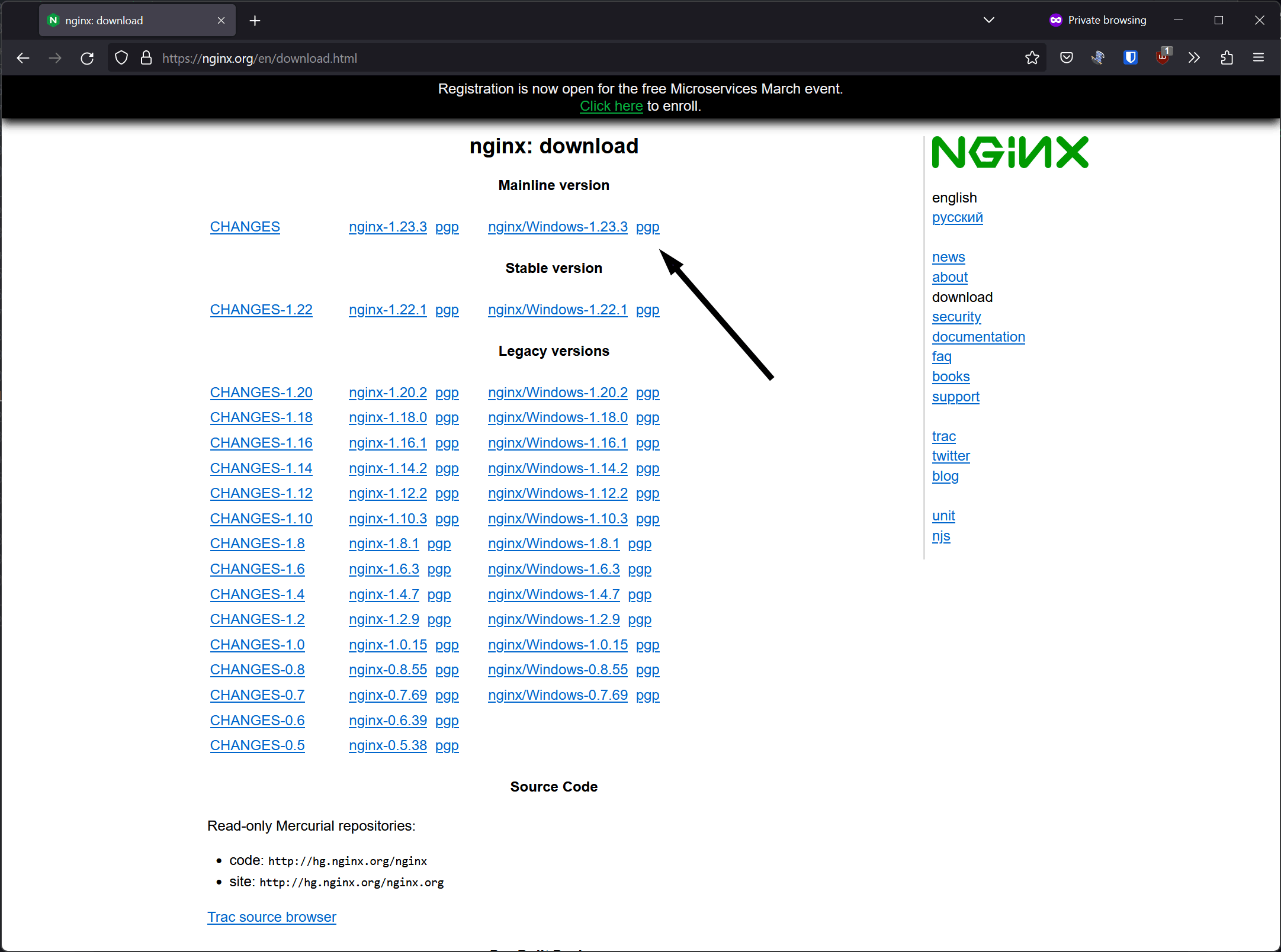 nginx-download